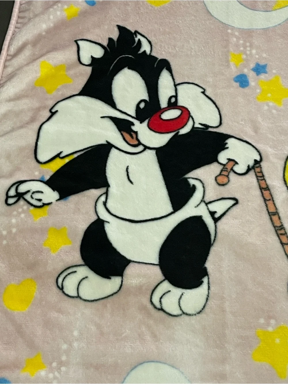 Vintage 1999 Baby Looney Tunes Pink Plush Blanket - Sylvester & Tweety